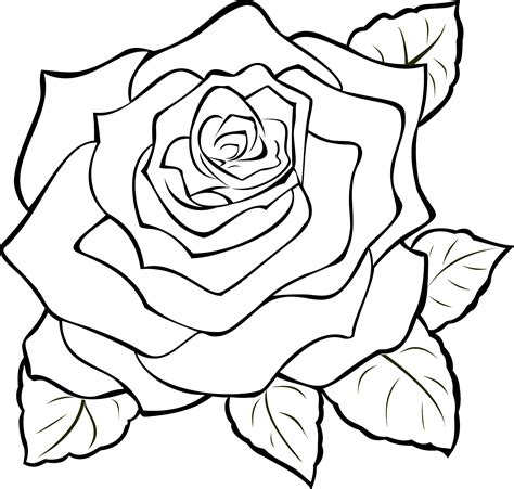 Line Drawing Rose - Cliparts.co