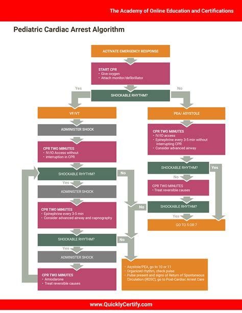 Basic Life Support Algorithms The Institute Of Continuing Healthcare Education