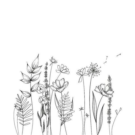 Line Art Wild Flowers Line Drawing - Download Free Mock-up