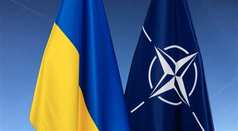 Should Ukraine Have Been Allowed To Join Nato 7 In 10 Say Yes