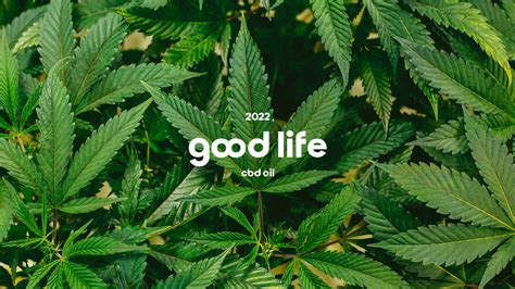 good life - cbd :: Behance