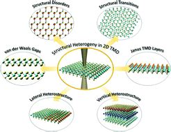 Atomic Scale Characterization Of Structural Heterogeny In D Tmd Layers