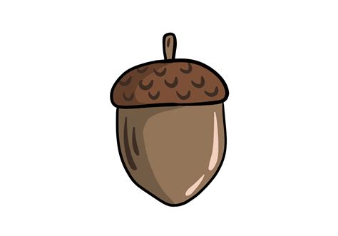 How To Draw Acorns