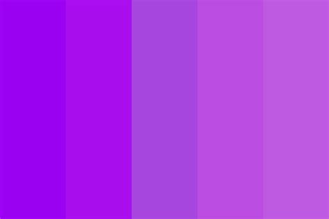 Memoir for Barney Color Palette