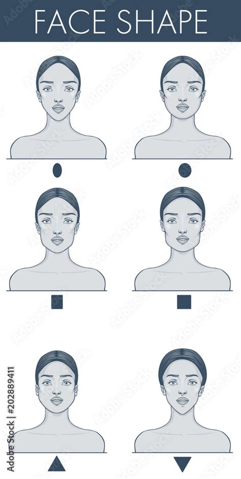 Face shapes guide. Vector illustration of pretty young female ...