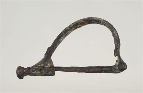 Fibula, Aucissa type (y1964-170)