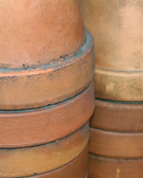 Easy Ways To Age Terra Cotta Pots And Style Them