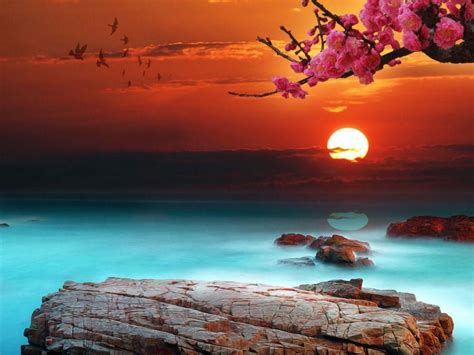 Spring Sunset Wallpapers - Top Free Spring Sunset Backgrounds ...