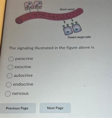 Solved The signaling illustrated in the figure above is | Chegg.com