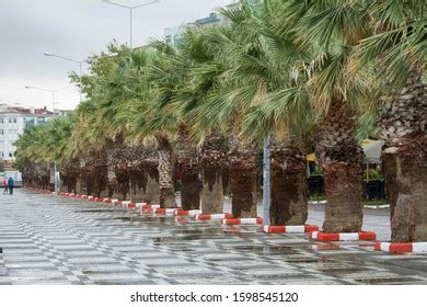 257 Silivri beach Images, Stock Photos & Vectors | Shutterstock