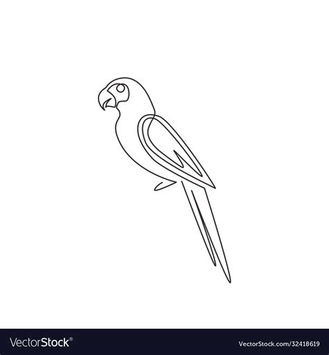 One Continuous Line Drawing Cute Parrot Bird Vector Image