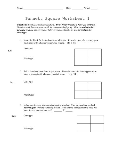 Printable Punnett Square Practice Worksheet