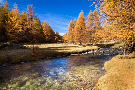 Stage photo vallée de la Clarée Couleurs d automne lumières d automne