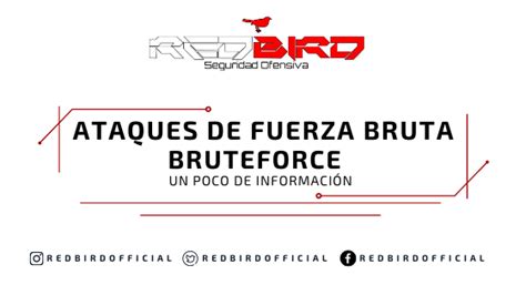 Ataques De Fuerza Bruta RedBird Seguridad Ofensiva Ciberseguridad OSINT