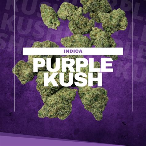 Purple Kush - 562 Go Green