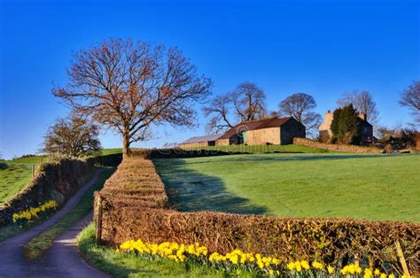 Lake District Farm Stock Photo Image Of Outdoors Rustic 19285540