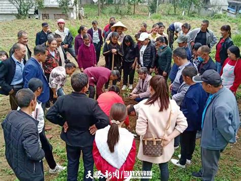 大方：“短平快”产业技能培训助力群众致富种养殖