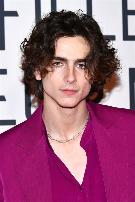 Timothee Chalamet Role In 2024 - Helga Agretha