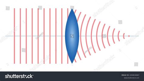 Convex Lens Schematic Diagram Optics Physics Stock Vector (Royalty Free ...