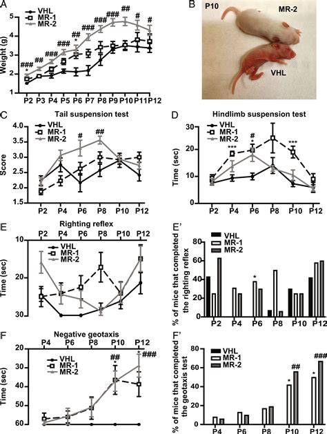 Agonist Of Growth Hormone Releasing Hormone Improves The Disease