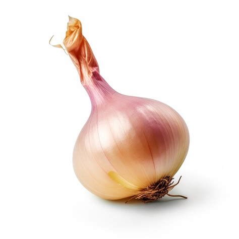 Premium Photo Shallot Isolated On White Background