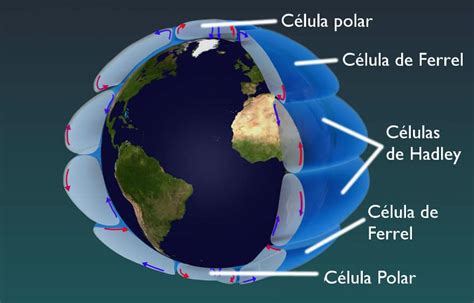 Vientos planetarios y circulación atmosférica Vientos Alisios del