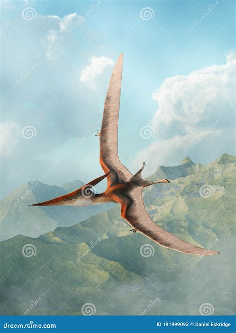 Pteranodon Flying stock illustration. Illustration of pteranodons ...