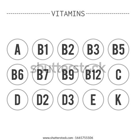 Vitaminas Conjunto De Signos O Iconos Vector De Stock Libre De