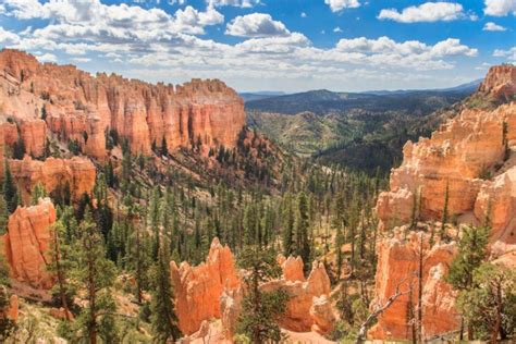 Tour Audio Autoguidato Di Arches Canyonlands Bryce E Zion Getyourguide