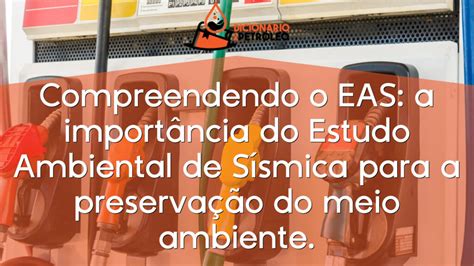 Compreendendo O Eas A Import Ncia Do Estudo Ambiental De S Smica Para