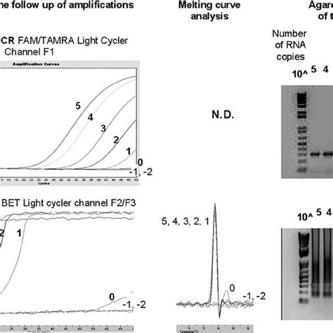 Sensitivity Of Rvfv Lamp And Real Time Taqman Pcr Rvfv Rna