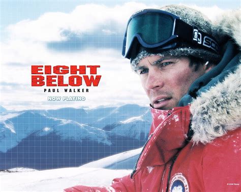 Eight Below Movie Poster