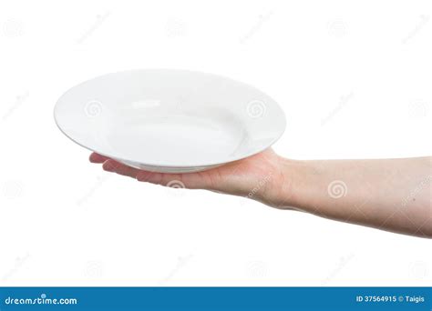 Hand Holding Plate Stock Image Image Of Kitchen Hold 37564915