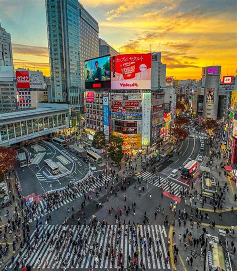 Formigueiro humano veja vídeo de cruzamento de Shibuya no Japão um