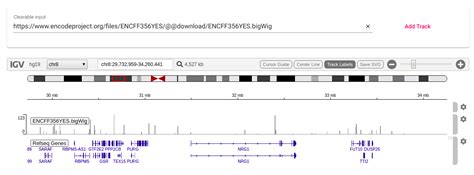 Using The Integrative Genomics Viewer Igv In Angular By Gabriel