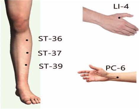 Acupoints For Indigestion As Selected In The Treatment Group Acu The