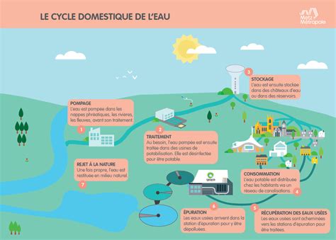 Le cycle de l'eau