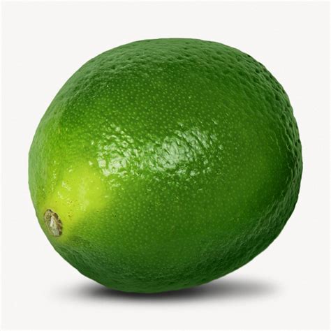 Organic lime fruit, isolated image | Free Photo - rawpixel