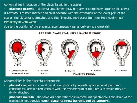 Lecture14 Teratology