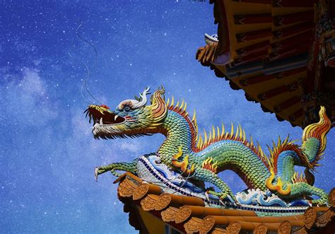 Dragon Symbolism & Meaning (+Totem, Spirit & Omens) – Pet News Live