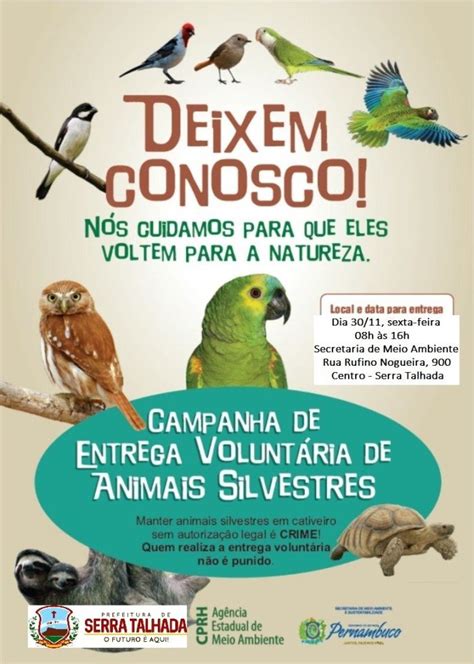 Campanha Incentiva Entrega De Animais Silvestres Em Serra Talhada