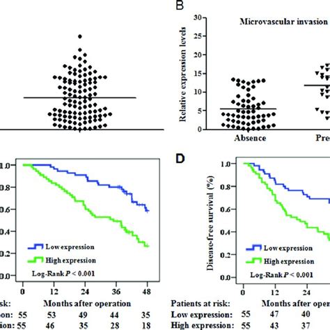 Mir P Is Up Regulated In Hcc And Is Correlated With Os And Dfs