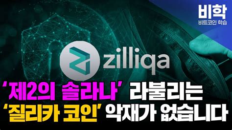 질리카 전망 제2의 솔라나라 불리는 질리카 코인 악재가 없습니다레이 디스트릭스ox 벨리디티 파일코인 보라 셀로 니어