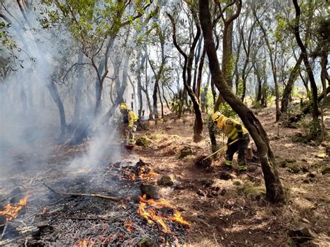 El Gobierno Declara Zona Afectada Por Emergencia De Incendios áreas