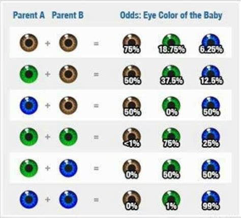 Analyzing Eye Color Genetics Chart And What You Need To Know Genetic Inheritance Eye Color