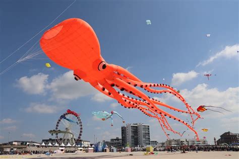 Rencontres Internationales De Cerfs Volants Berck Sur Mer