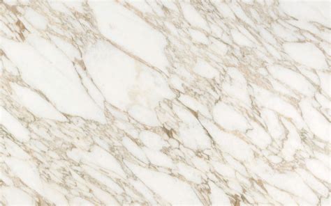 Calacatta Vagli Oro Marble Calacatta Tile Carrara Marble Bathroom