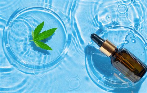 Cbd 101 Learning The Basics Of Cbd Cannabidiol