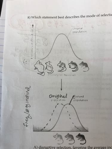 Honors Bio Chapters 13 14 36 Flashcards Quizlet