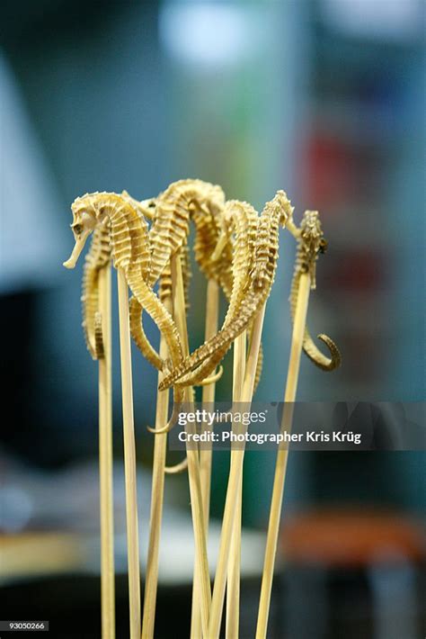 Cooked Edible Seahorses On Sticks In China High Res Stock Photo Getty